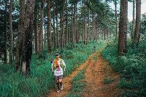 BIB: 
                            <button type="button" onclick="openModal(25740894)" class="btn btn-primary btn-sm float-right btn-popup" data-toggle="modal" data-target=".modal-high-quality">
                        <i class="fas fa-shopping-cart"></i> Add to Cart
                    </button>
                                            <button type="button" onclick="isThisMe(25740894, true)" class="btn btn-success btn-sm float-right btn-popup btn-isme hidden" data-toggle="tooltip" data-placement="bottom" title="นี่คือรูปของคุณใช่ไหม คลิกที่นี่เพื่อเอาเข้าอัลบั้ม">
                        <i class="fas fa-plus"></i> Add to album
                    </button>
                    <button type="button" onclick="isThisMe(25740894, false)" class="btn btn-warning btn-sm float-right btn-popup btn-isnotme hidden">
                        <i class="fas fa-ban"></i> Remove from album
                    </button>